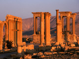 Columns of Ruins at Dawn, Palmyra, Syria Photographie par Wayne Walton