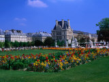 Garden Outside the Louvre Paris, France Photographic Print by John Hay