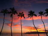 Coconut Palms and the Island of Lanai at Sunset from the Seawall on Front Street, Lahaina, Maui Photographic Print by Karl Lehmann