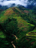 Rice Terraces Around Banaue, Banaue, Philippines Photographic Print by Richard I'Anson