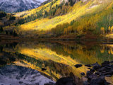 Aspen Forest Reflected in Maroon Lake, White River National Forest, Colorado, USA Impressão fotográfica por Greg Gawlowski Aspen Forest Reflected in Maroon Lake, White River National Forest, Colorado, USA Impressão fotográfica por Greg Gawlowski