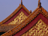 Roof Detail of Beijing's Forbidden City Bejing, China Photographic Print by Phil Weymouth Roof Detail of Beijing's Forbidden City Bejing, China Photographic Print by Phil Weymouth