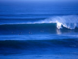 Surfers at Bells Beach, Torquay, Australia Fotografisk tryk af Rodney Hyett Surfers at Bells Beach, Torquay, Australia Fotografisk tryk af Rodney Hyett