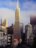 Low Cloud Around Transamerica Pyramid Building, San Francisco, California, USA Lámina fotográfica por Richard I'Anson