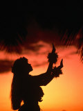 Silhouette of Hula Dancer on Waikiki Beach at Sunset, Waikiki, U.S.A. Photographic Print by Ann Cecil