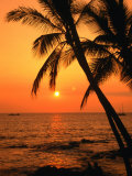 A Couple in Silhouette, Enjoying a Romantic Sunset Beneath the Palm Trees in Kailua-Kona, Hawaii Photographic Print by Ann Cecil