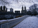 Central Park in Winter, New York City, New York, USA Photographie par Angus Oborn