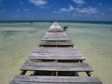 Wooden Pier with Broken Planks, Ambergris Caye, Belize Photographic Print by Doug McKinlay