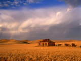 Abandoned Stone Farmhouse on the Barrier Highway Near Burra, Burra, South Australia, Australia Photographie par Ross Barnett