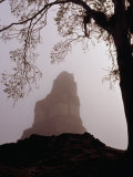 Temple I of the Great Plaza Surrounded by Mist, Tikal, Guatemala Photographie par Ryan Fox