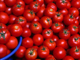 Tomatoes for Sale, Istanbul, Turkey Photographic Print by Greg Elms