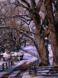 Country Road Leading to Nambe Ranch in Early Winter, New Mexico, USA Fotografie-Druck von Ralph Lee Hopkins