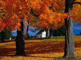 Autumn in Barre, USA Photographic Print by Izzet Keribar