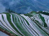 Rice Terraces in the Mountains of Long Ji, Guangxi, China Photographie par Keren Su
