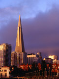 The Transamerica Pyramid and City Skyline, San Francisco, California, USA Photographic Print by Curtis Martin