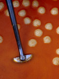 Ladling Soup at a Restaurant at Tha Chang Pier, Bangkok, Thailand Photographic Print by Richard I'Anson