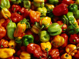 Capsicums at Brixton Market, Brixton, London, England Photographic Print by Neil Setchfield