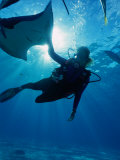 Diving at Stingray City on Grand Cayman, Grand Cayman, Grand Cayman, Cayman Islands Photographie par Greg Johnston