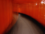 On the Move Through the Tunnel of Tori, Kyoto, Kinki, Japan, Photographie par Frank Carter