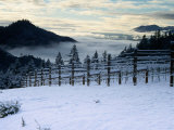Snow Covered Vineyard, Napa Valley, United States of America Photographic Print by Jerry Alexander