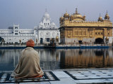 Anthony Plummer - Sikh Man Meditating in Front of the Golden Temple, Amritsar, India - Fotografik Baskı Anthony Plummer - Sikh Man Meditating in Front of the Golden Temple, Amritsar, India - Fotografik Baskı