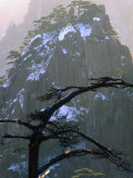 The Snow Speckled Peak of Mt. Huangshan (Yellow Mountain), Anhui, China Photographie par Keren Su