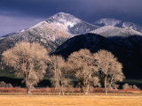Cottonwoods and Mountaintops in Winter, Taos, New Mexico, USA Photographic Print by Ralph Lee Hopkins