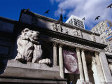 Stone Lions on Fifth Avenue Entrance to the New York Library, New York City, New York, USA Photographic Print by Angus Oborn