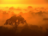 Morning Mist Over the Tambopata Candamo National Park, Amazonas, Peru Photographic Print by Alfredo Maiquez