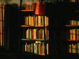 Sunlight on Bookshelves, Oxford, England Photographic Print by Jon Davison Sunlight on Bookshelves, Oxford, England Photographic Print by Jon Davison