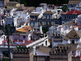 The Rooftops of Seville, Andalucia, Sevilla, Spain Photographic Print by Oliver Strewe