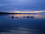 Sea Kayakers Near Cooks Beach, Freycinet National Park, Tasmania, Australia Photographie par Grant Dixon