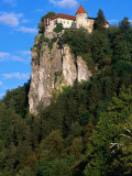 Bled Castle on Top of Cliff, Bled, Gorenjska, Slovenia Photographic Print by Grant Dixon