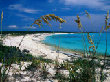 Beach View Through Native Grasses, Conception Island, San Salvador & Rum Cay, Bahamas Photographic Print by Greg Johnston