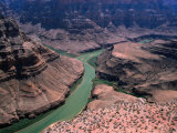 Grand Canyon West, Hualapai Indian Reservation View, USA Photographie par Mark Newman