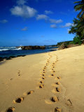 Footprints in the Sand on the North Shore, Oahu, Hawaii, USA Photographic Print by Ann Cecil