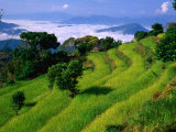 Annapurna South in the Annapurna Sanctuary, Gandaki, Nepal Photographie par Carol Polich
