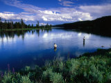 Fly Fishing in Yellowstone River, Yellowstone National Park, USA Lámina fotográfica por John Elk III