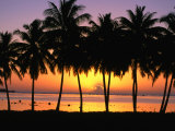 Palm Trees at Sunset, Cook Islands Photographie par Peter Hendrie