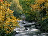 Autumn Colours on the Banks of the Rue River, Quebec, Canada Photographie par Mark Newman
