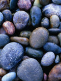 Detail of Beach Pebbles, Murramarang National Park, Australia Photographic Print by Paul Sinclair