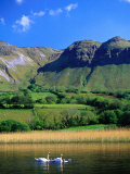 Swans in Glencar Lough Beneath Castlegal Mountain, County Sligo, Ireland Photographie par Gareth McCormack