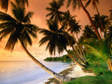 Paya Blue Lagoon Resort, Weno Centre, Micronesia Lámina fotográfica por John Elk III Paya Blue Lagoon Resort, Weno Centre, Micronesia Lámina fotográfica por John Elk III