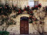 Roses Climbing Over Front of House in the Loire Valley, Loches, France Photographic Print by Diana Mayfield