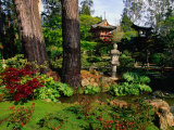 Japanese Tea Garden in Golden Gate Park, San Francisco, USA Reprodukcja zdjęcia autor John Elk III