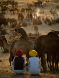 Boys and Camels at Pushkar Camel Fair, Pushkar, Rajasthan, India Photographic Print by Stephen Saks