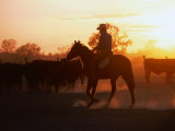 Drover Mustering Cattle,South Australia, Australia Photographie par John Hay