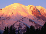 Slopes of Mt. Rainier in Sunrise Area, Mt. Rainier National Park, USA Photographic Print by John Elk III