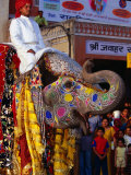 Man Riding Decorated Elephant in Street Parade of Annual Elephant Festival, Jaipur, India Photographie par Paul Beinssen