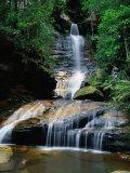 Empress Falls Blue Mountains National Park, New South Wales, Australia Fotografie-Druck von Ross Barnett
